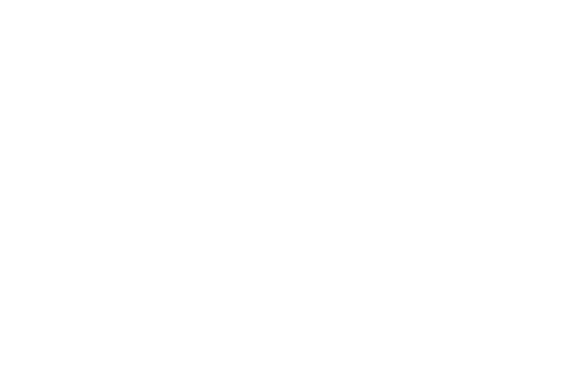 Logo Learn Chile